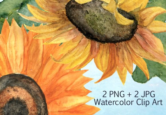 2 JPG 2 PNG Sunflower Clip Art: A Designer’s Practical Take