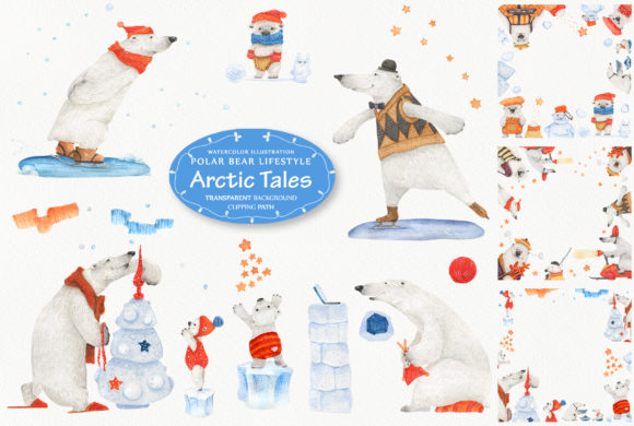 Arctic Tales Facts About Bears and Illustrations