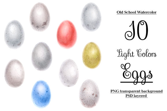 Bird Eggs Illustrations for Branding