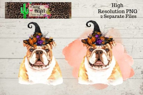 Bulldog Halloween Witch PNG