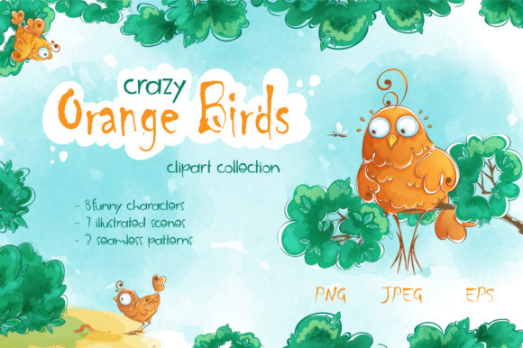 Crazy Orange Birds Illustrations
