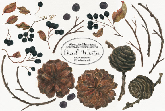 Dried Winter 2 Illustrations