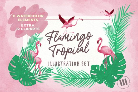 Flamingo Tropical Illustration Set and Illustrations