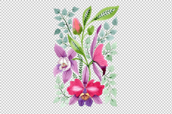 Floral Ornament of Orchid Flowers Set and Illustrations