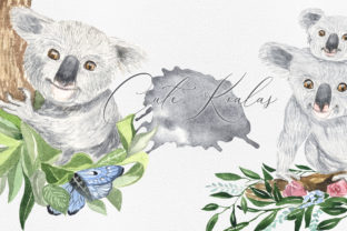 Koala Illustrations for Real Projects