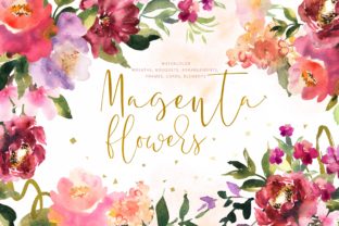 Magenta Flowers Illustrations