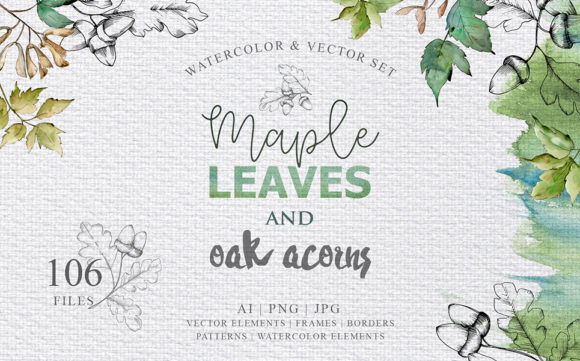 Maple Leaves and Oak Acorns Set Illustrations