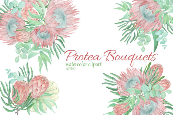 Protea and Eucalyptus Bouquet Clipart