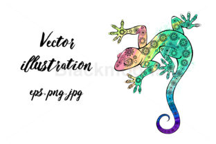 Rainbow Gecko Illustrations