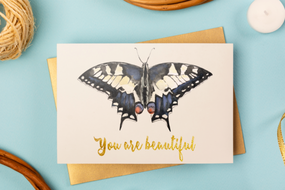 Swallowtail Butterfly Life Cycle Clip Art for Creative Design