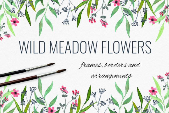 Wild Meadow Flowers Frames, Borders Illustrations